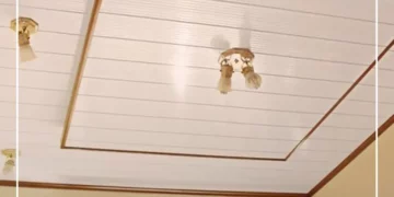 Harga PVC Board Union 2024